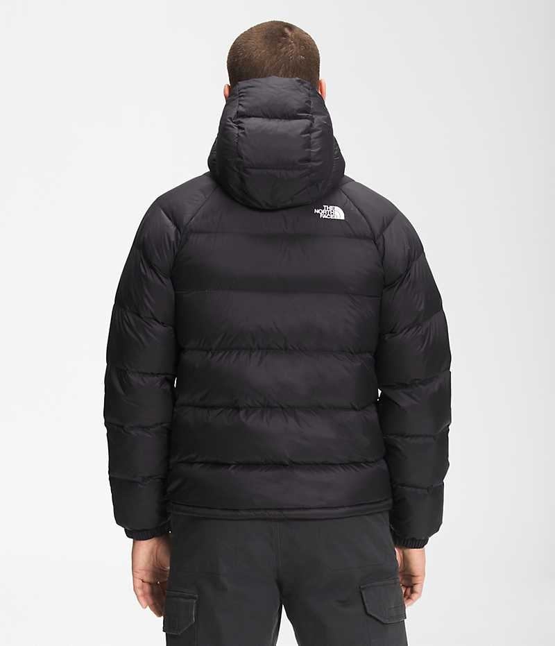 Black The North Face Hydrenalite™ Hoodie Men's Puffer Jacket | MALAYSIA VCIDGE