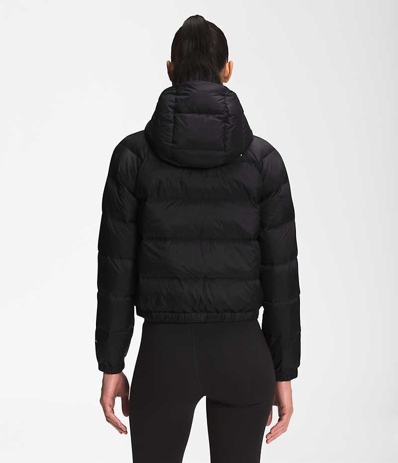 Black The North Face Hydrenalite™ Women's Puffer Jacket | MALAYSIA YFOZCD