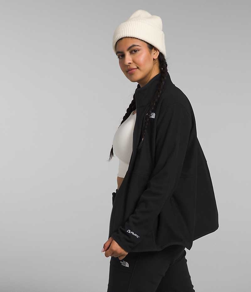 Black The North Face Plus Alpine Polartec® 100 Women's Fleece Jacket | MALAYSIA TOWELS