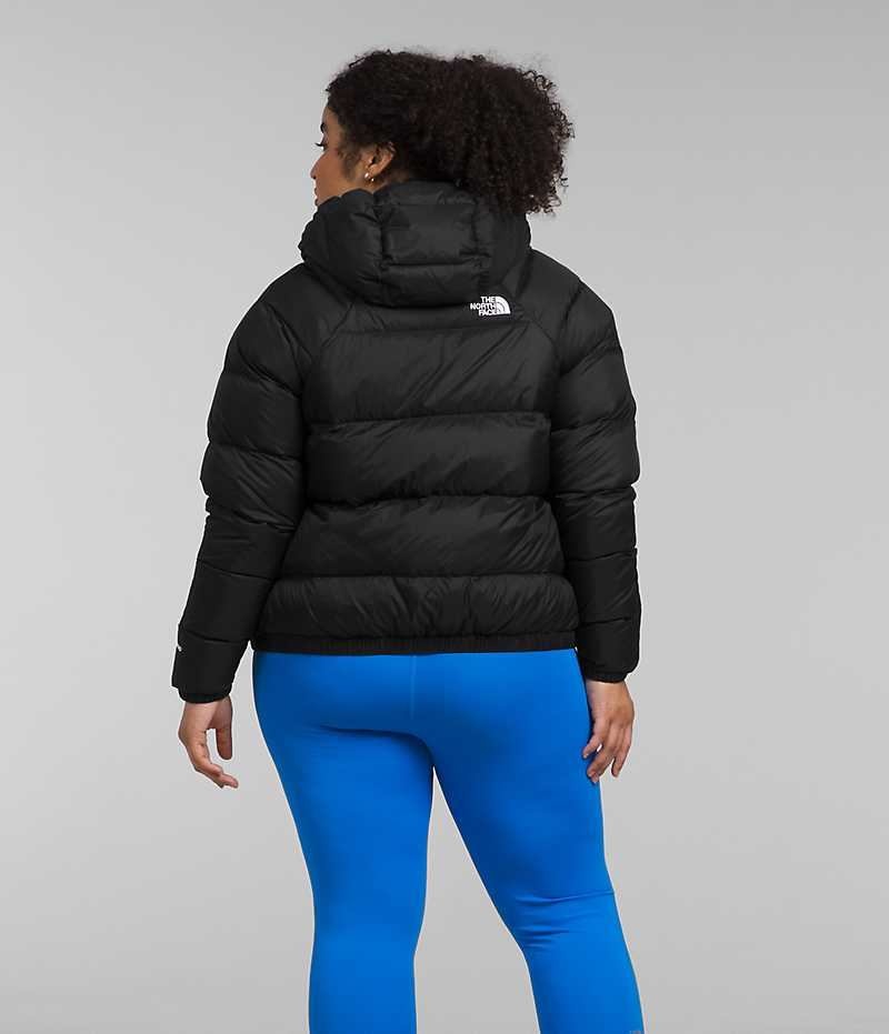 Black The North Face Plus Hydrenalite™ Hoodie Women's Puffer Jacket | MALAYSIA GWPAFM