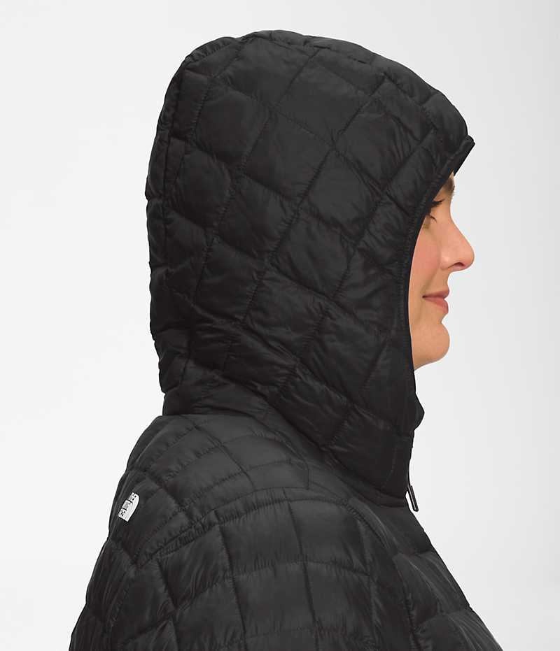 Black The North Face Plus ThermoBall™ Eco Women's Coat | MALAYSIA TLDBZP