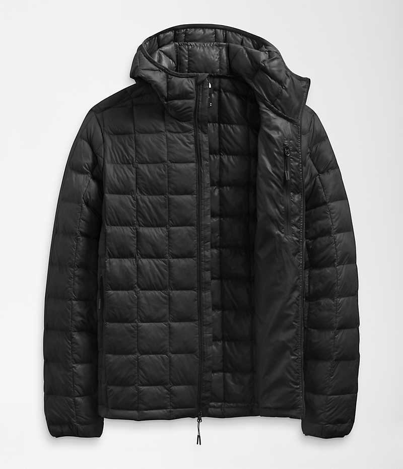 Black The North Face ThermoBall™ Eco Hoodie 2.0 Men's Puffer Jacket | MALAYSIA BUHPZI