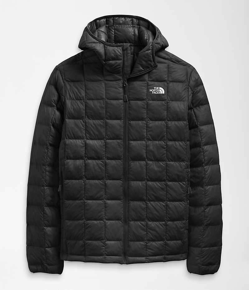 Black The North Face ThermoBall™ Eco Hoodie 2.0 Men's Puffer Jacket | MALAYSIA BUHPZI