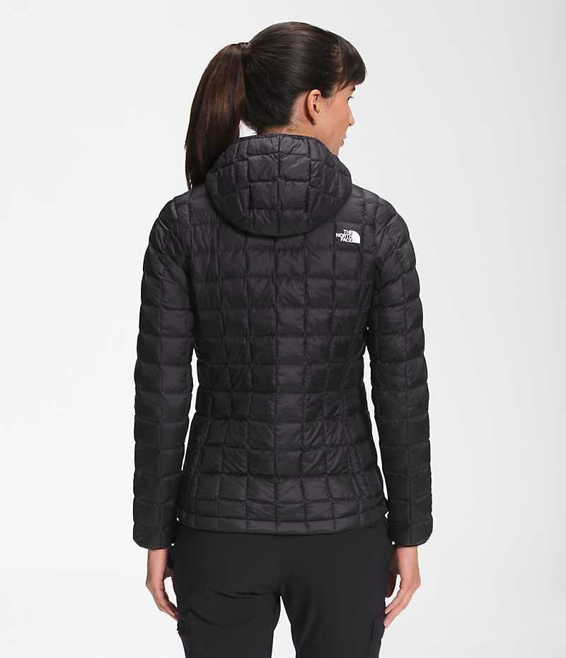 Black The North Face ThermoBall™ Eco Hoodie 2.0 Women's Puffer Jacket | MALAYSIA LJBRAO