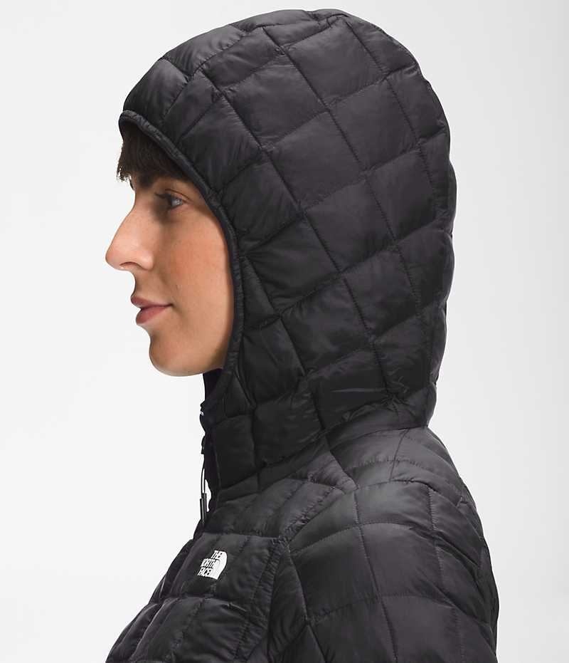 Black The North Face ThermoBall™ Eco Hoodie 2.0 Women's Puffer Jacket | MALAYSIA LJBRAO