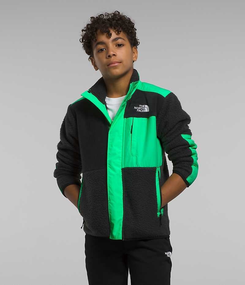 Black / Green The North Face Forrest Mashup Boys\' Fleece Jacket | MALAYSIA ZTPXRQ