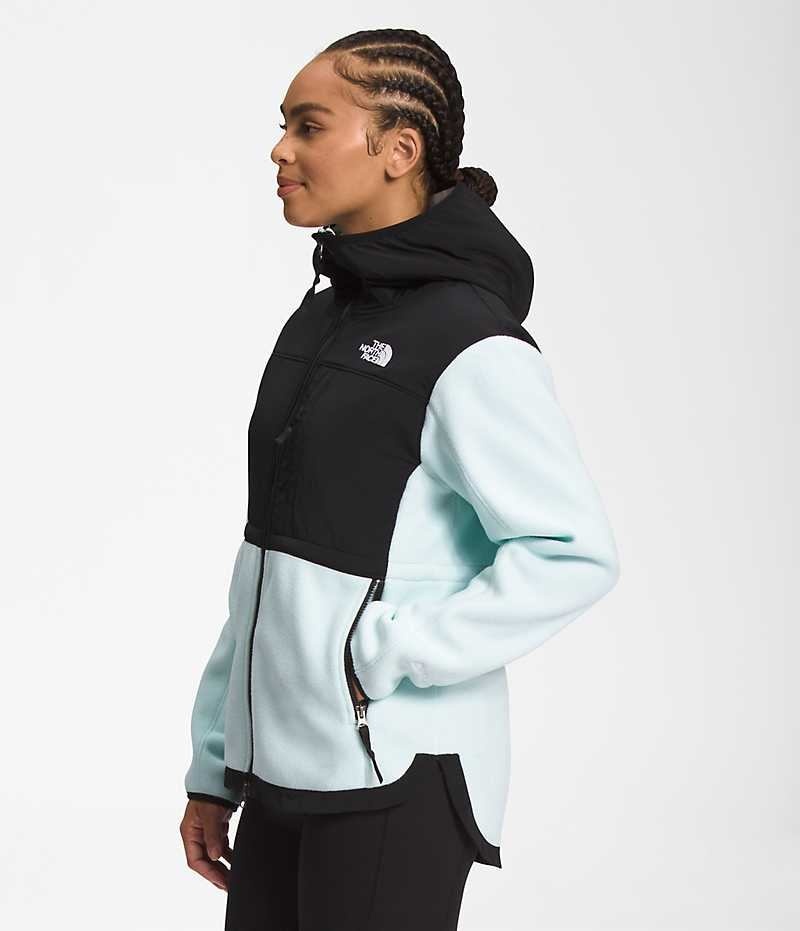 Black / Turquoise The North Face Denali Hoodie Women's Fleece Jacket | MALAYSIA PHALMW