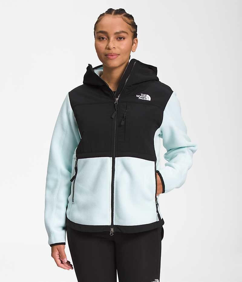 Black / Turquoise The North Face Denali Hoodie Women\'s Fleece Jacket | MALAYSIA PHALMW