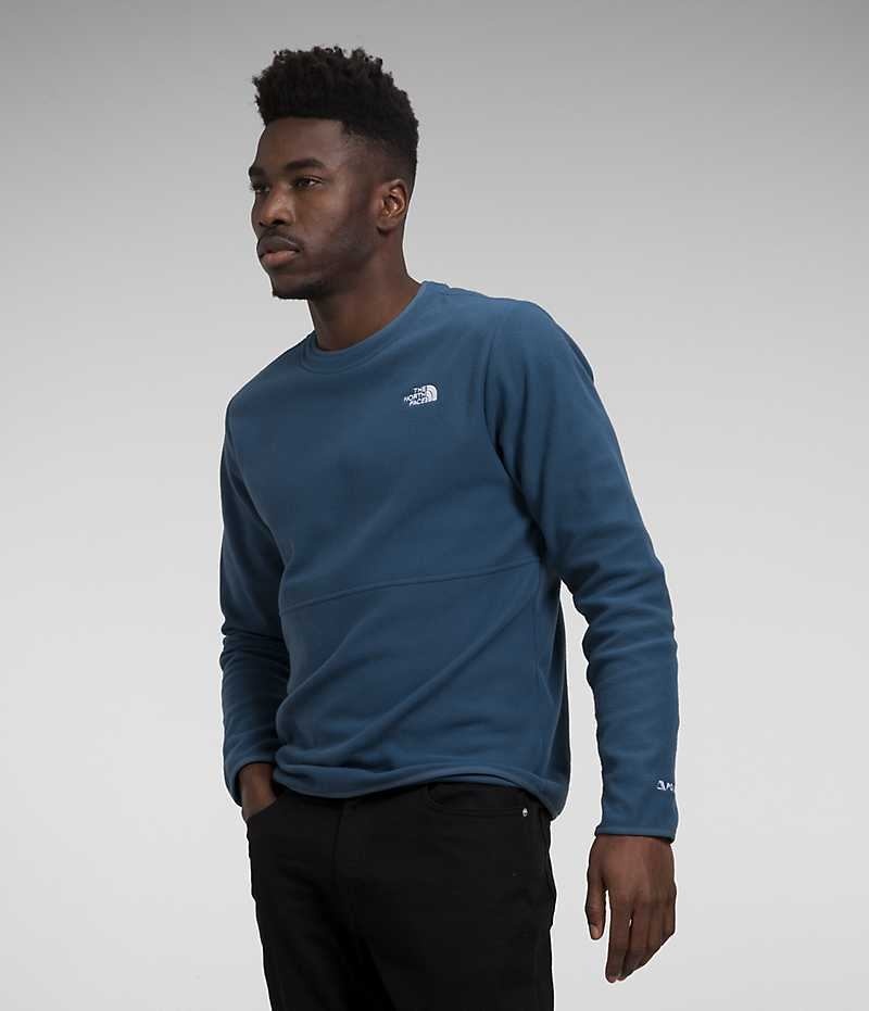 Blue The North Face Alpine Polartec® 100 Crew Men's Pullover | MALAYSIA PSOEHW