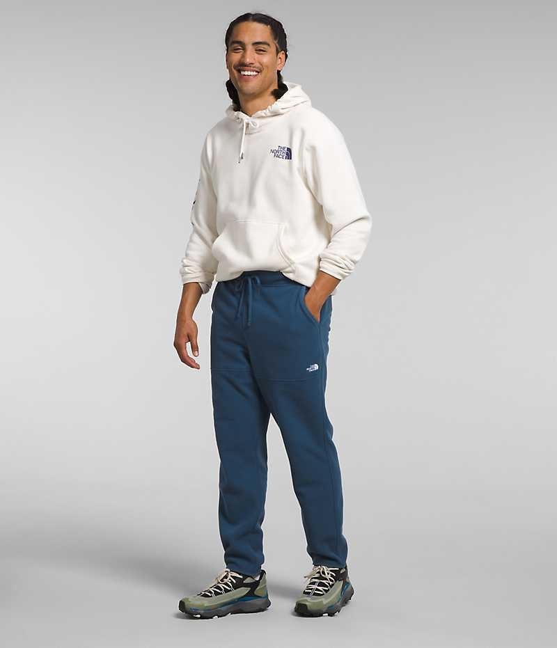 Blue The North Face Alpine Polartec® 100 Men's Fleece Pants | MALAYSIA XEAIBR