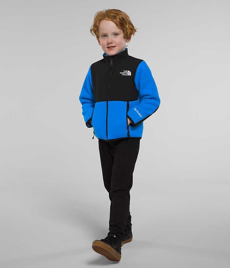 Blue The North Face Denali Boys\' Fleece Jacket | MALAYSIA GLHWBR