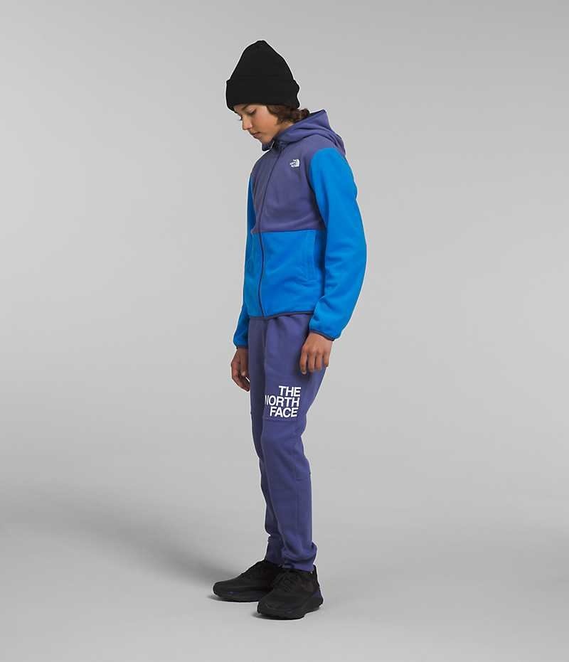 Blue The North Face Glacier Full-Zip Hooded Boys' Fleece Jacket | MALAYSIA JIUOEA