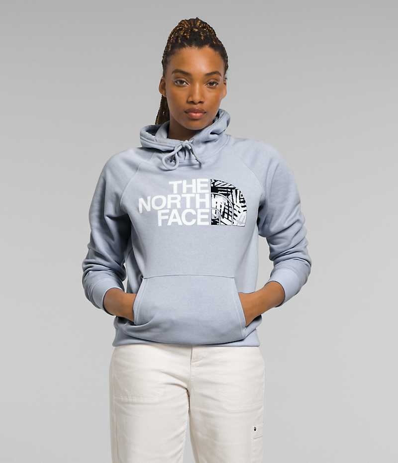 Blue The North Face Half Dome Pullover Women\'s Hoodie | MALAYSIA QOAEKR