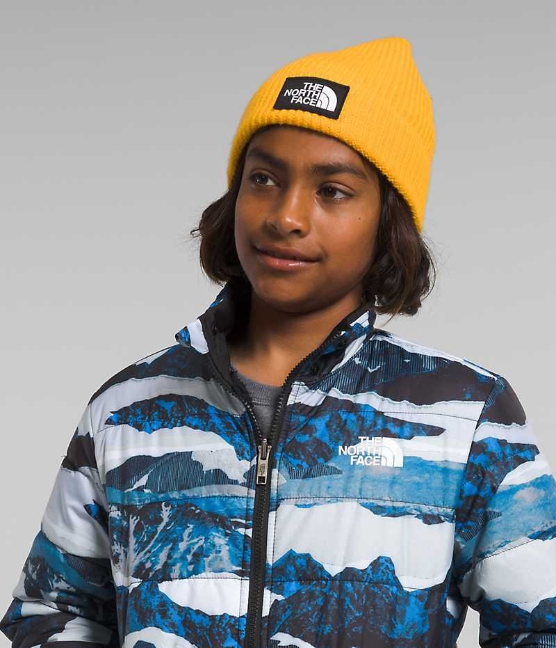 Blue The North Face Reversible Mt Chimbo Full-Zip Hooded Boys' Fleece Jacket | MALAYSIA FVREGL