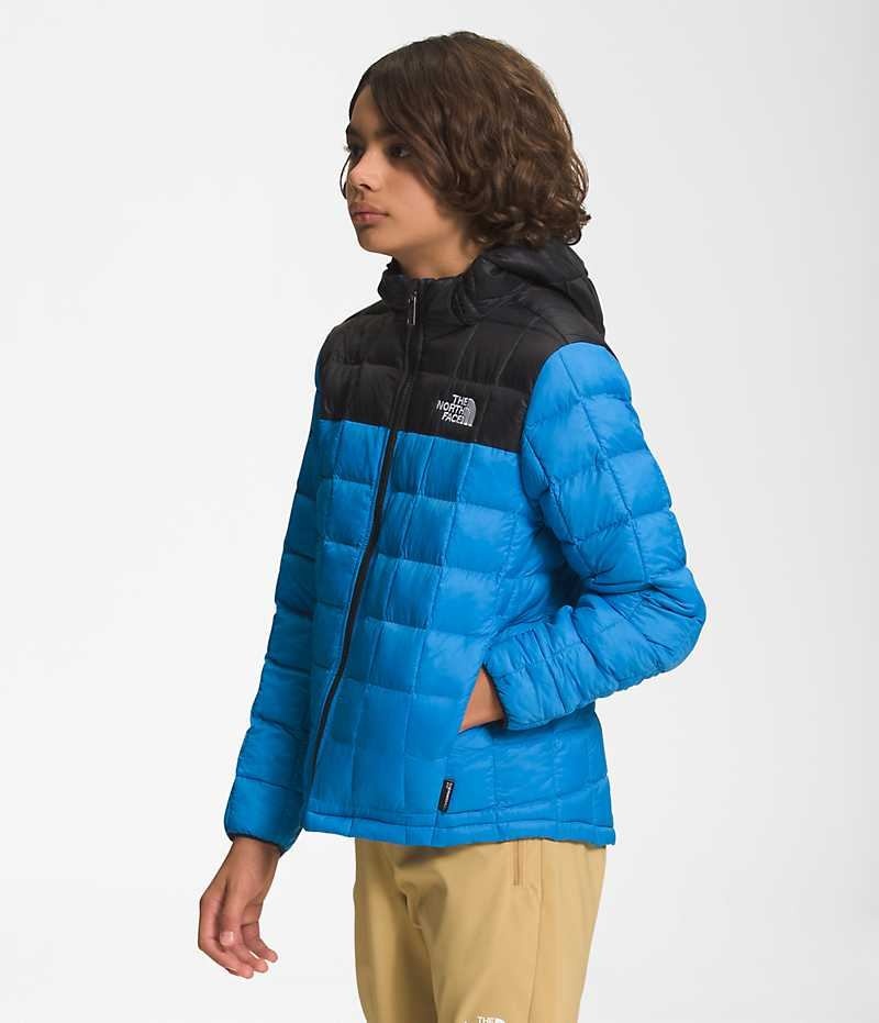 Blue The North Face ThermoBall™ Hooded Boys' Puffer Jacket | MALAYSIA MAVNZJ