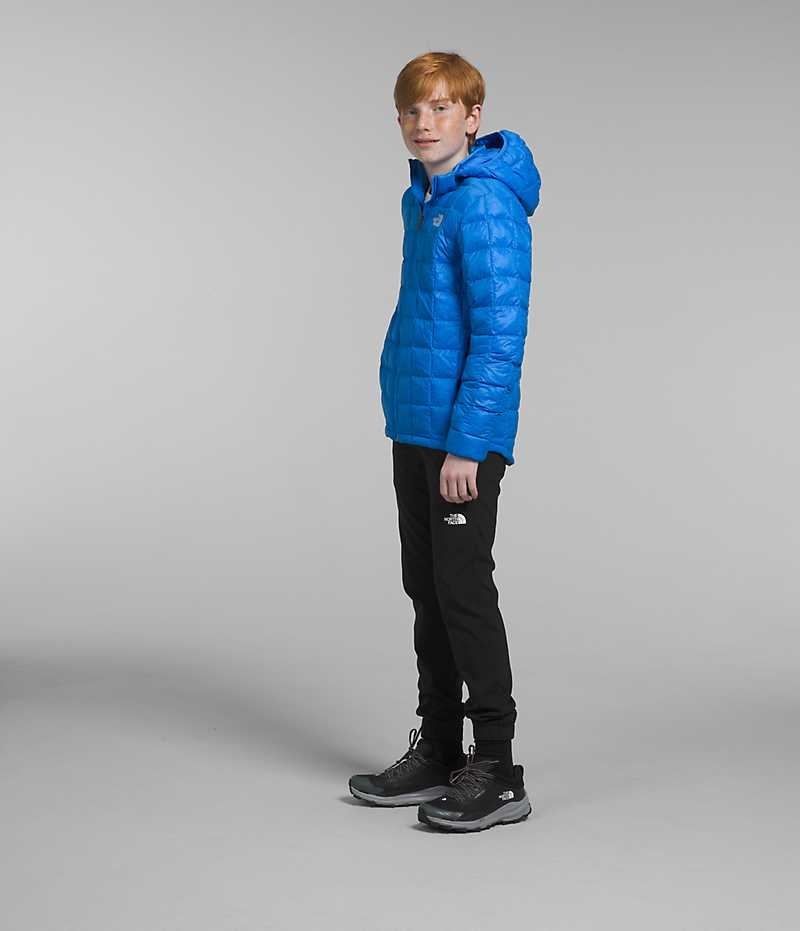 Blue The North Face ThermoBall™ Hooded Boys' Puffer Jacket | MALAYSIA OKCEXB