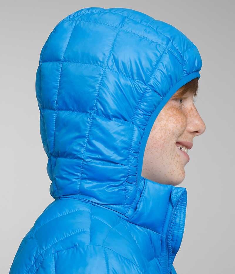 Blue The North Face ThermoBall™ Hooded Boys' Puffer Jacket | MALAYSIA OKCEXB