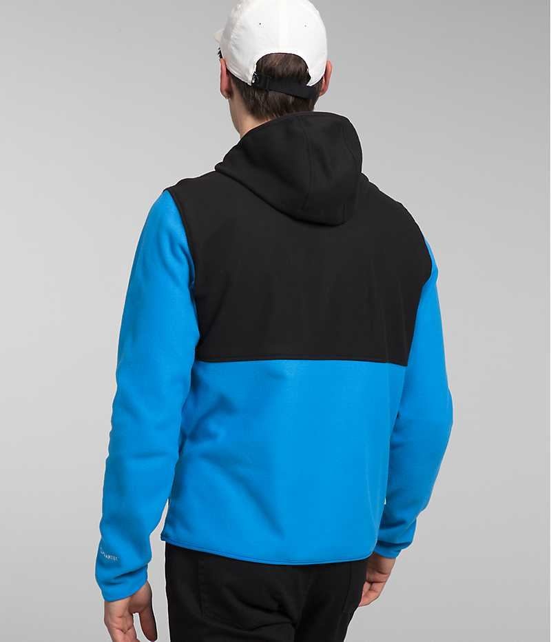 Blue / Black The North Face Alpine Polartec® 100 Men's Pullover | MALAYSIA FVNJER