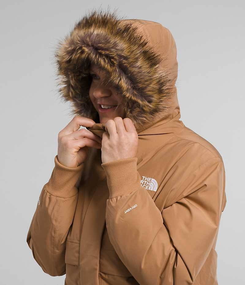 Brown The North Face Arctic Women's Bomber Jacket | MALAYSIA XFIARD