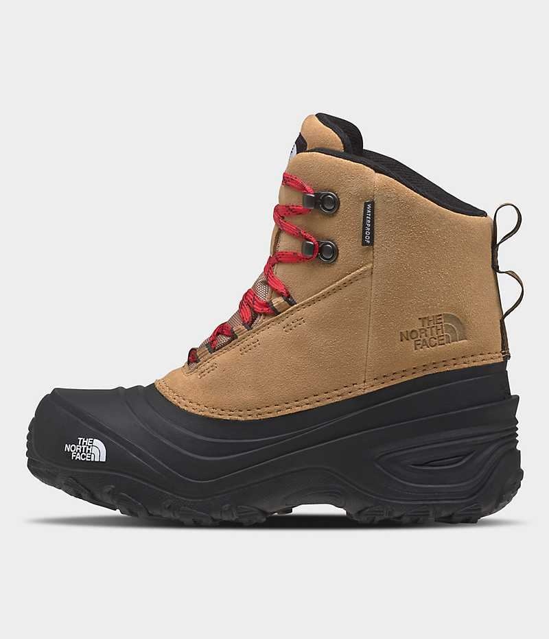 Brown The North Face Chilkat V Lace Waterproof Boys\' Winter Boots | MALAYSIA NVIGBR