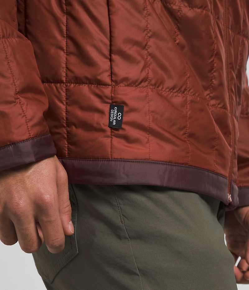 Brown The North Face Circaloft Men's Puffer Jacket | MALAYSIA TEOJXK