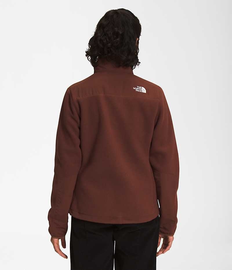 Brown The North Face Denali Women's Fleece Jacket | MALAYSIA HUTLPS