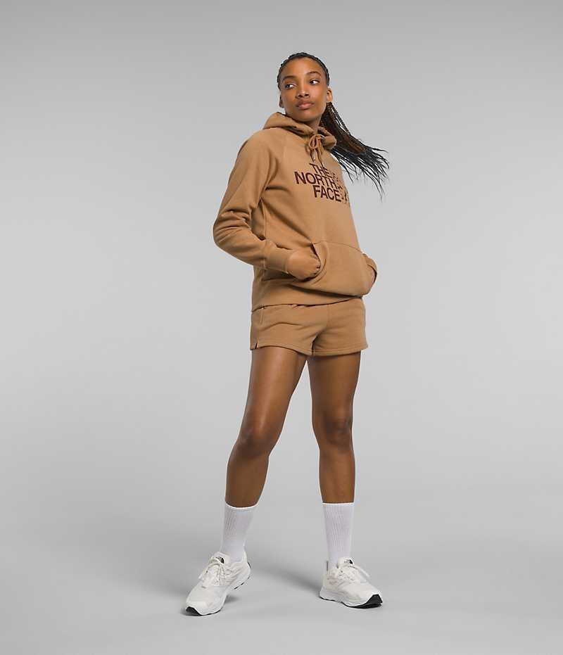 Brown The North Face Half Dome Pullover Women's Hoodie | MALAYSIA JQONZK