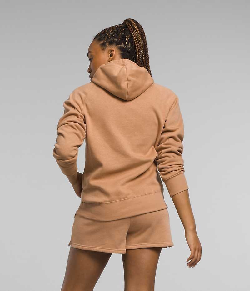 Brown The North Face Half Dome Pullover Women's Hoodie | MALAYSIA JQONZK