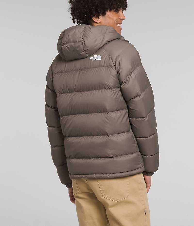 Brown The North Face Hydrenalite™ Hoodie Men's Puffer Jacket | MALAYSIA KBMDTJ