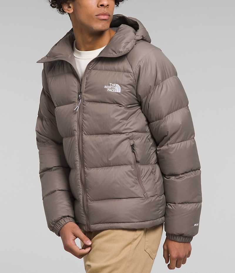 Brown The North Face Hydrenalite™ Hoodie Men's Puffer Jacket | MALAYSIA KBMDTJ