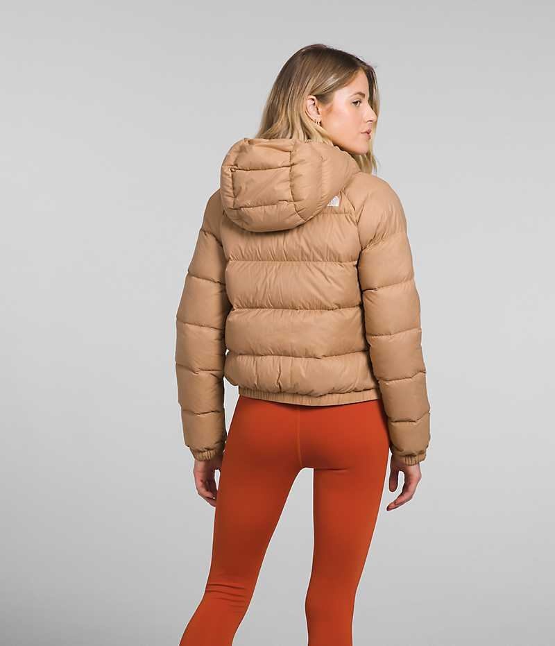 Brown The North Face Hydrenalite™ Women's Puffer Jacket | MALAYSIA TIOMFR