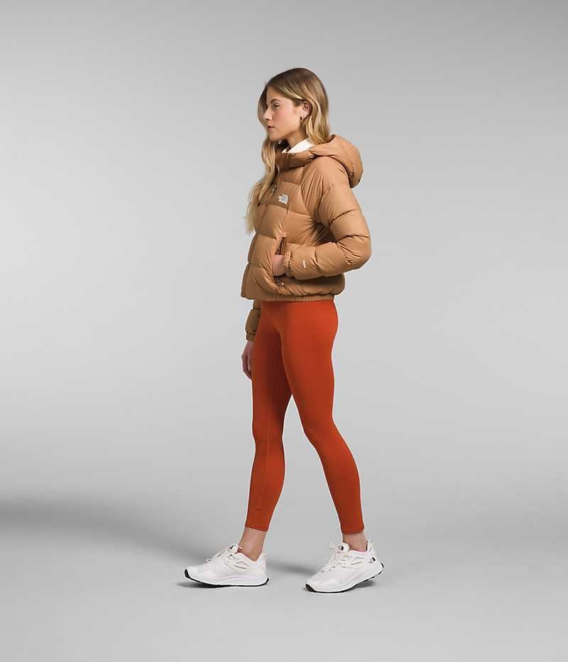 Brown The North Face Hydrenalite™ Women's Puffer Jacket | MALAYSIA TIOMFR