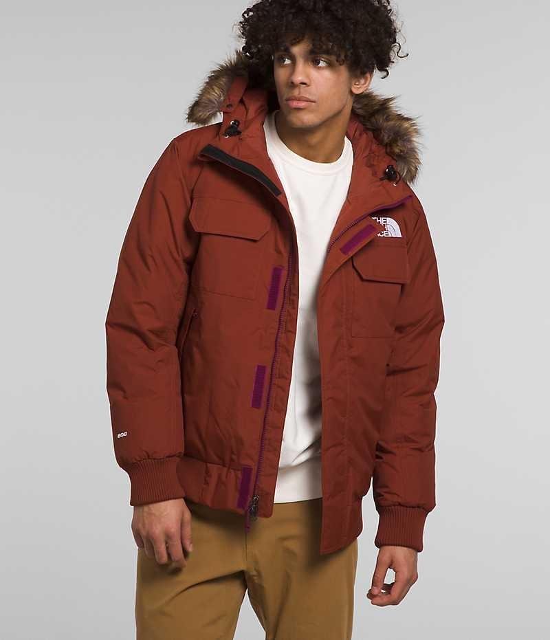 Brown The North Face McMurdo Men\'s Bomber Jacket | MALAYSIA QOLIHR