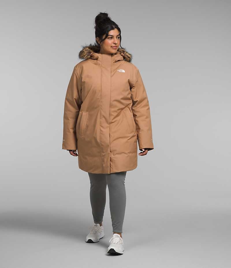 Brown The North Face Plus Arctic Women's Coat | MALAYSIA NZBUKO