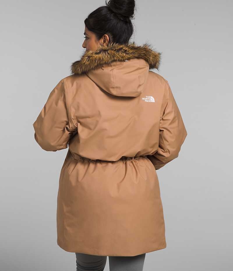 Brown The North Face Plus Arctic Women's Coat | MALAYSIA NZBUKO