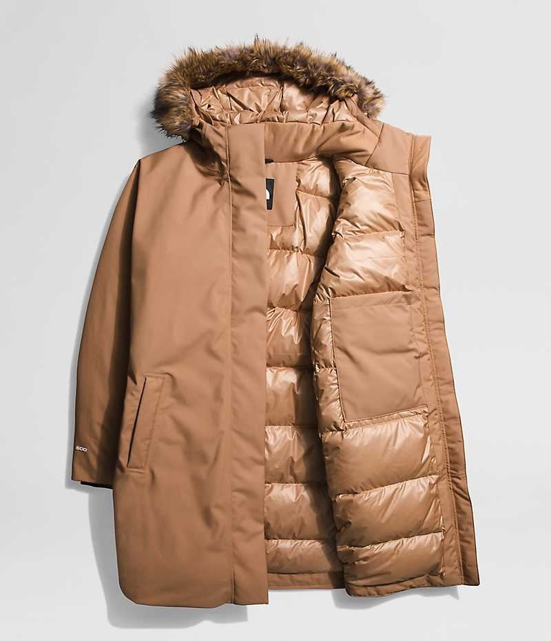 Brown The North Face Plus Arctic Women's Coat | MALAYSIA NZBUKO