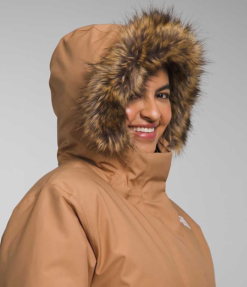 Brown The North Face Plus Arctic Women's Coat | MALAYSIA NZBUKO