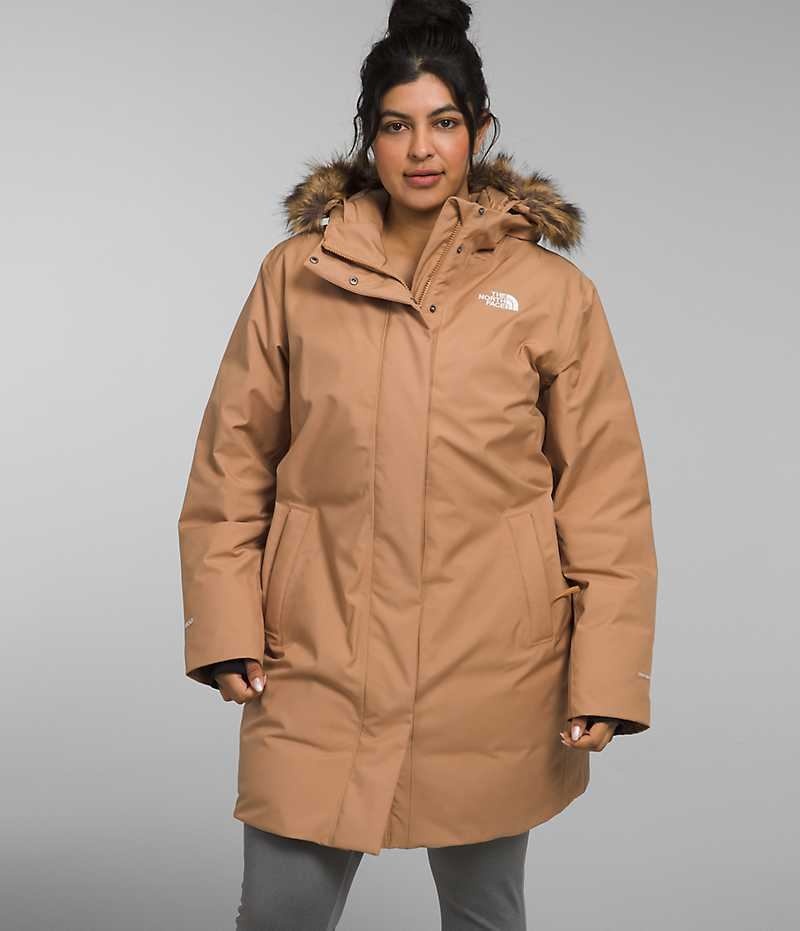 Brown The North Face Plus Arctic Women\'s Coat | MALAYSIA NZBUKO