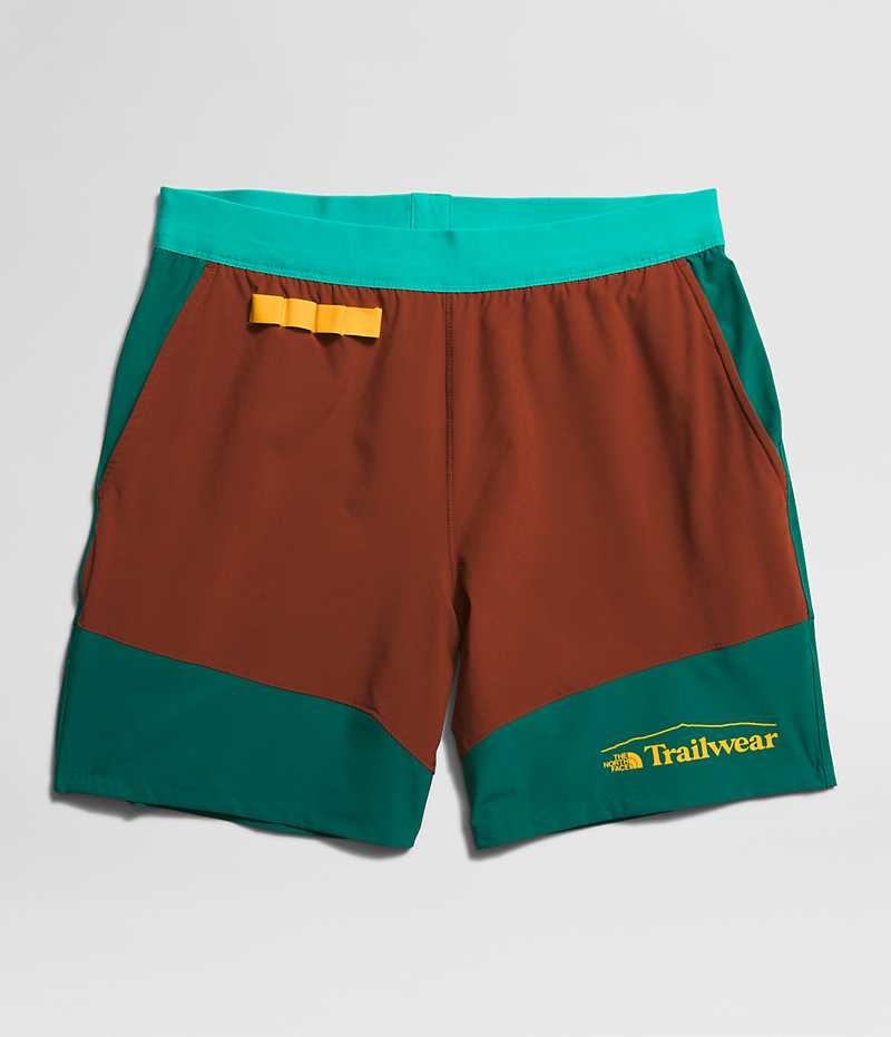 Brown / Turquoise The North Face Trailwear OKT Trail Men's Shorts | MALAYSIA GJLSER