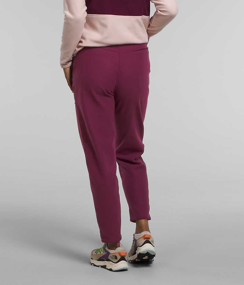 Burgundy The North Face Alpine Polartec® 100 Women's Fleece Pants | MALAYSIA SLPKYJ