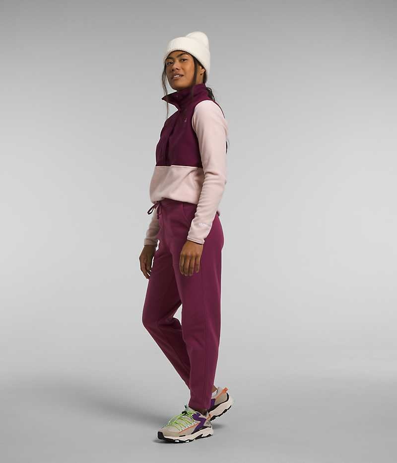 Burgundy The North Face Alpine Polartec® 100 Women's Fleece Pants | MALAYSIA SLPKYJ