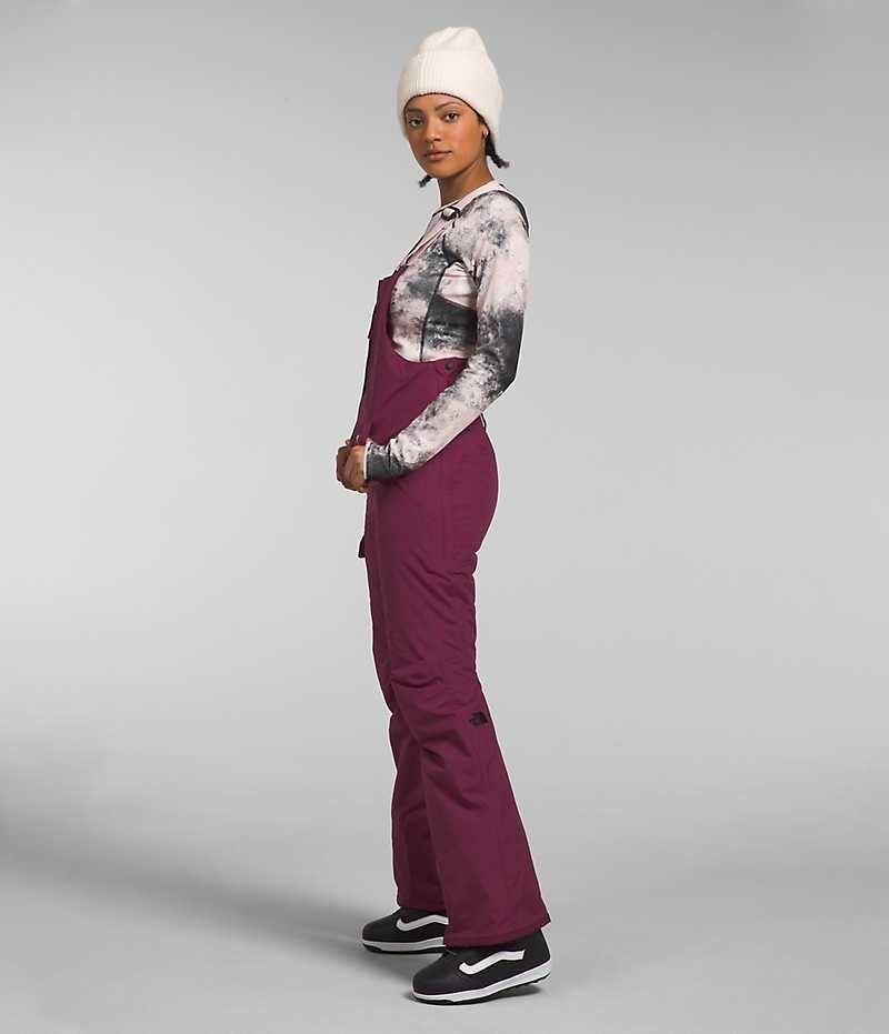 Burgundy The North Face Freedom Insulated Women's Bib Pants | MALAYSIA MAEHSV