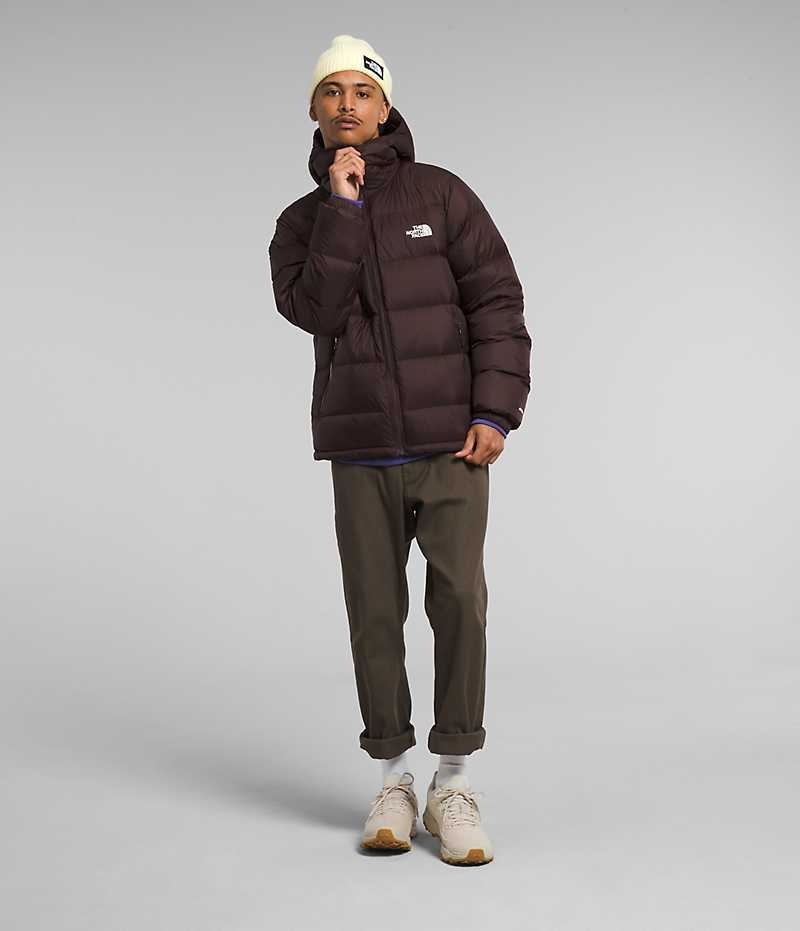 Burgundy The North Face Hydrenalite™ Hoodie Men's Puffer Jacket | MALAYSIA TWOMSR