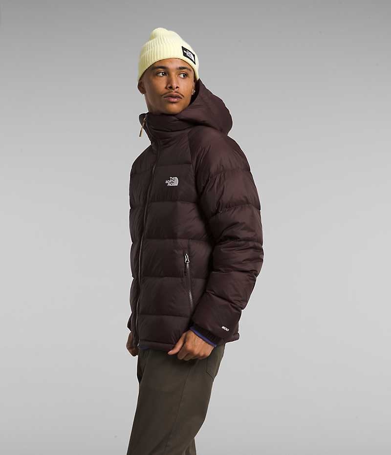 Burgundy The North Face Hydrenalite™ Hoodie Men's Puffer Jacket | MALAYSIA TWOMSR