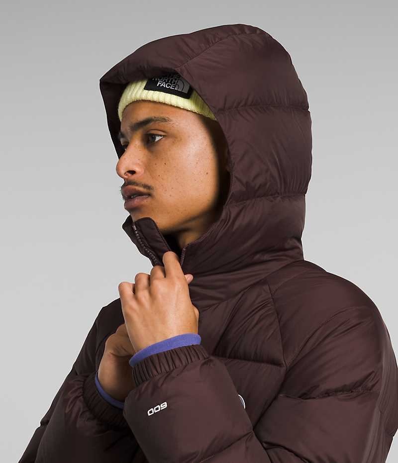 Burgundy The North Face Hydrenalite™ Hoodie Men's Puffer Jacket | MALAYSIA TWOMSR