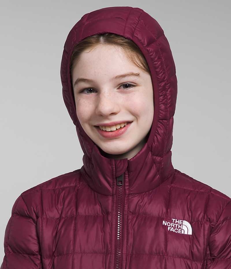 Burgundy The North Face ThermoBall™ Girls' Coat | MALAYSIA XGYTDZ