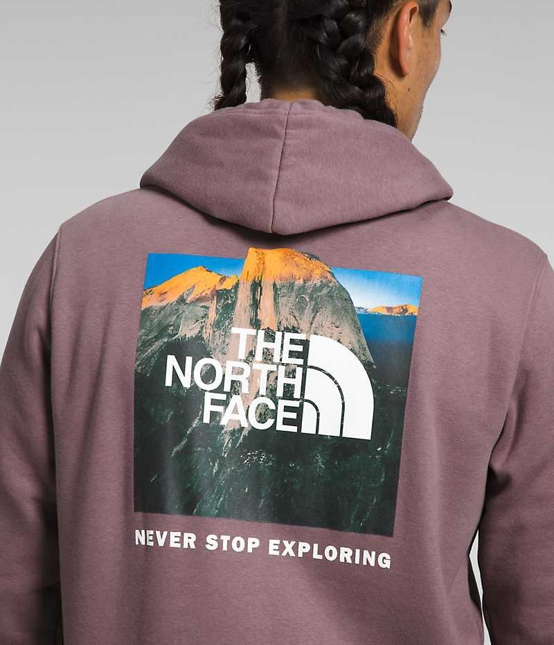 Fuchsia The North Face Box NSE Pullover Men's Hoodie | MALAYSIA NXDMQT