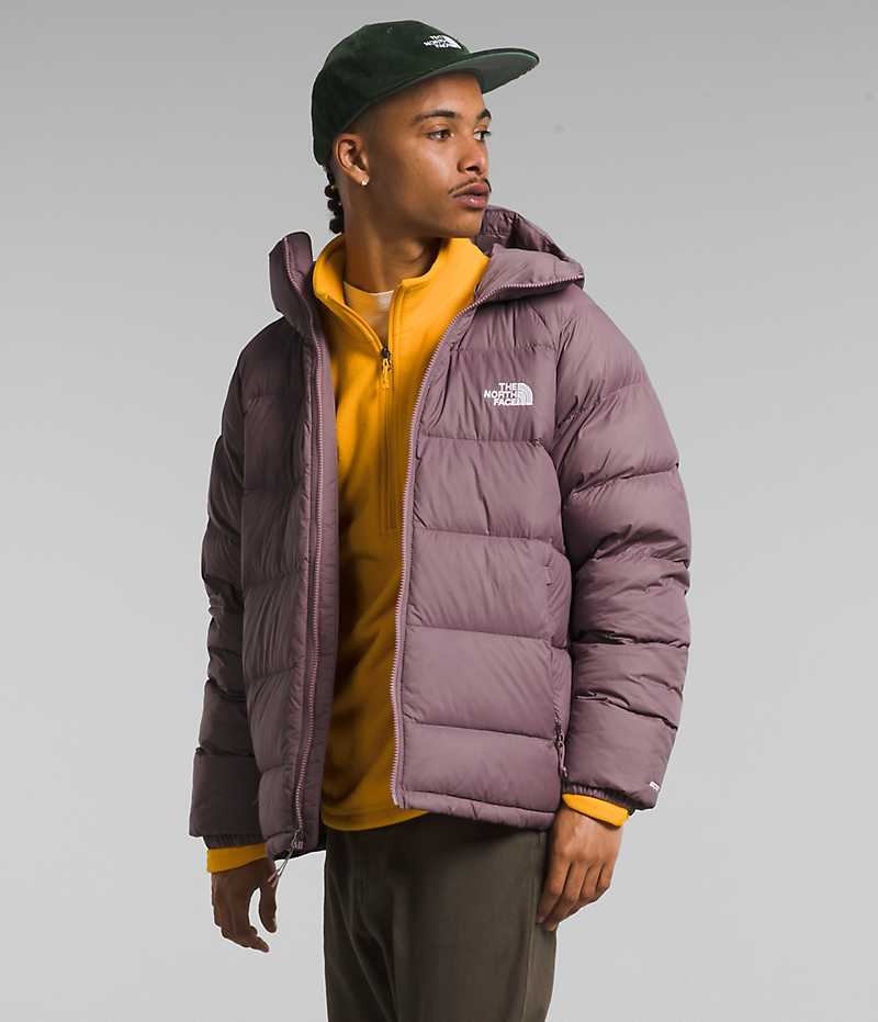 Fuchsia The North Face Hydrenalite™ Hoodie Men's Puffer Jacket | MALAYSIA FGCZBJ