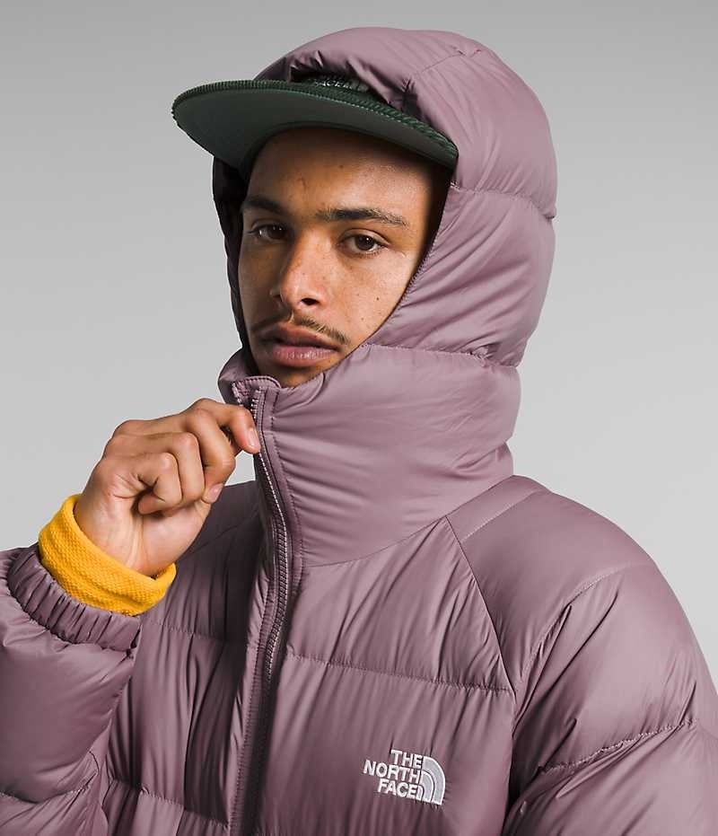 Fuchsia The North Face Hydrenalite™ Hoodie Men's Puffer Jacket | MALAYSIA FGCZBJ