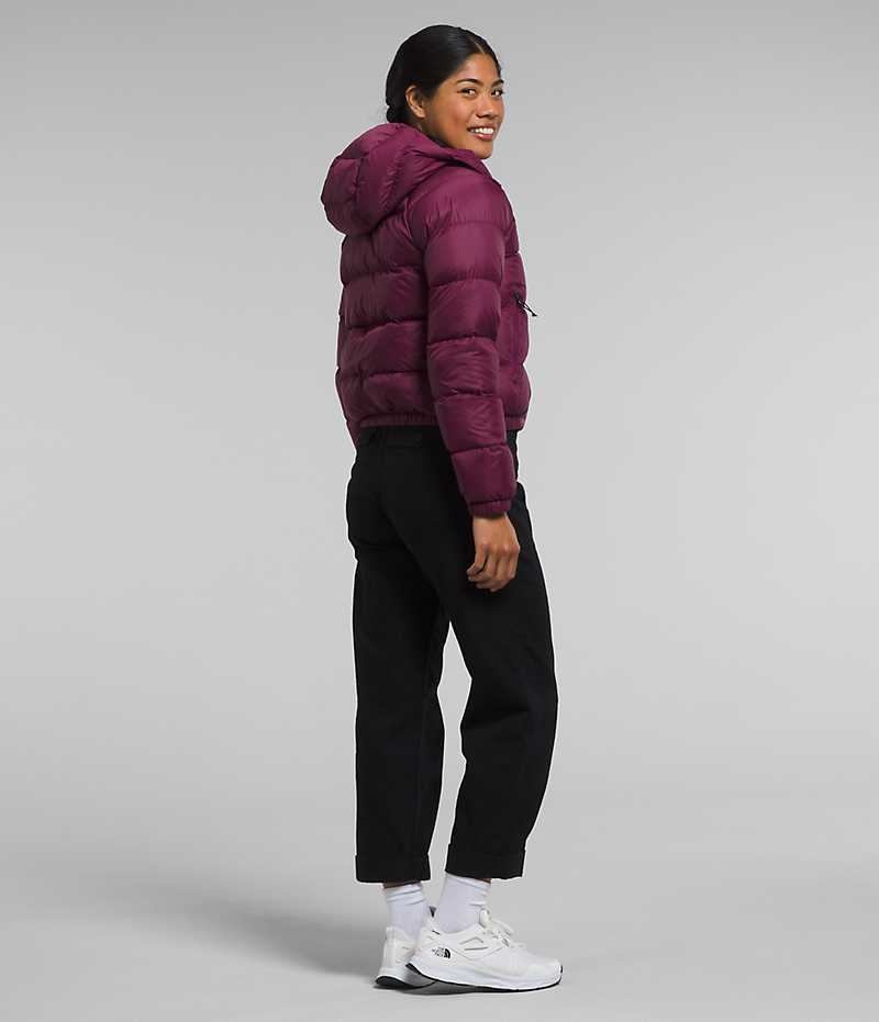 Fuchsia The North Face Hydrenalite™ Women's Puffer Jacket | MALAYSIA IKABRZ